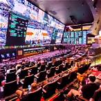 vegas sports bet